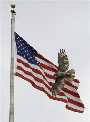 US Flag-Hawk